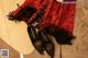 A pair of black and red corsets and a pair of heels.